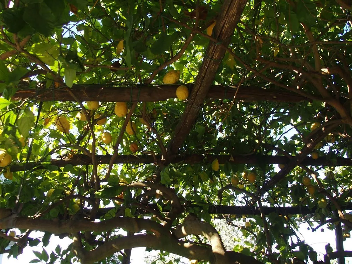 Giardino Sul Mare Apartment Amalfi